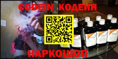 индика Камышлов