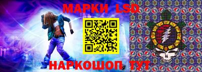 индика Камышлов