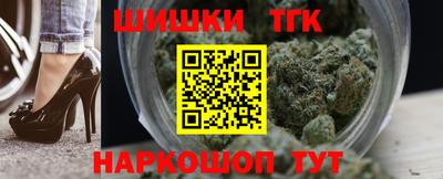 индика Камышлов