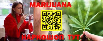 индика Камышлов