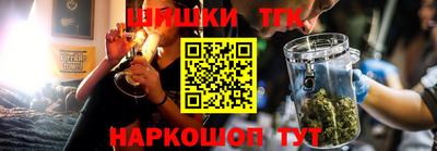 индика Камышлов