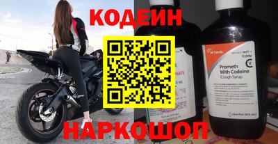 индика Камышлов