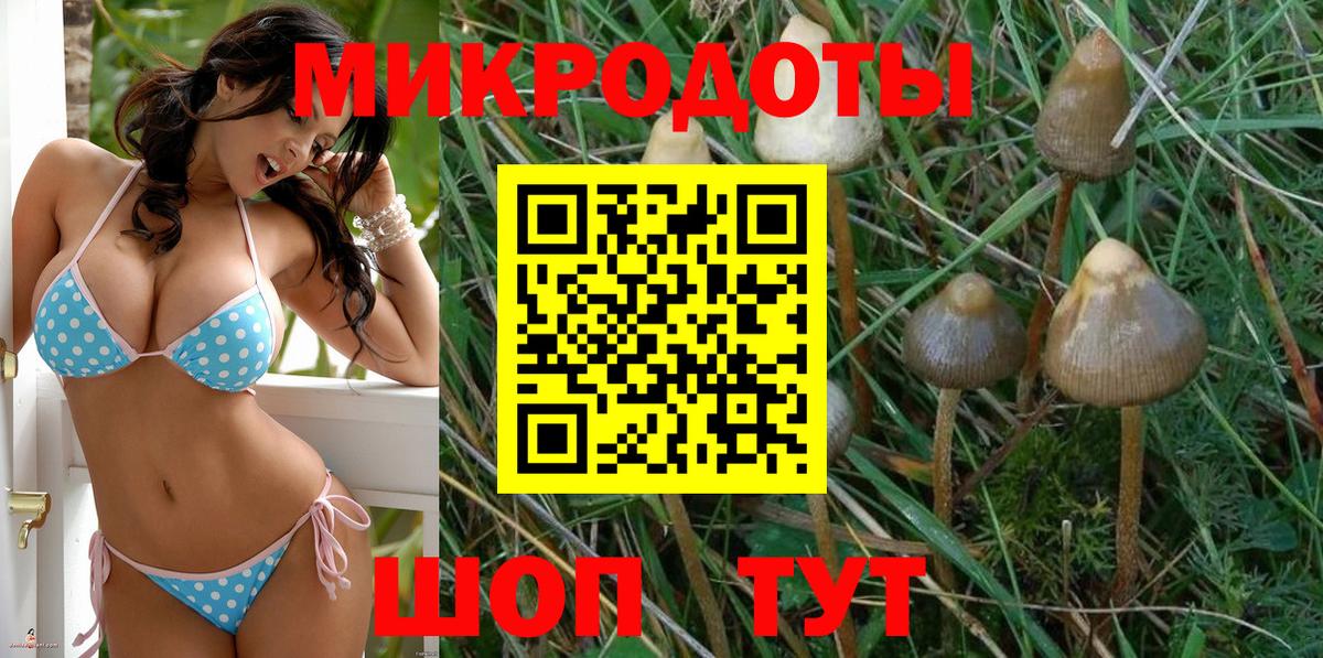 Куйбышев  Псилоцибиновые грибы MAGIC MUSHROOMS  продажа наркотиков  Вход с VPN 