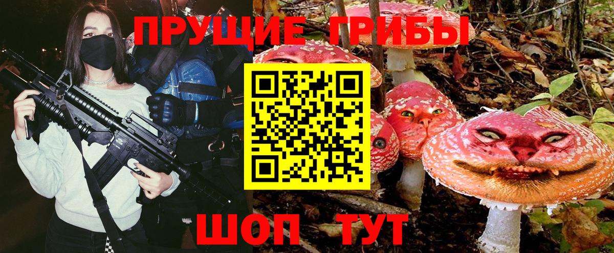 Псилоцибиновые грибы Psilocybe Куйбышев